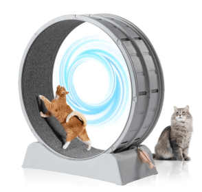 Cat Exercise Wheel, 31 Inch Cat Wheels For Indoor Cats, Cat Treadmill Wheel Exerciser With Carpeted Runway